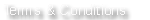 Terms And Conditions